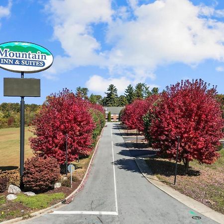 Mountain Inn & Suites フラット・ロック エクステリア 写真