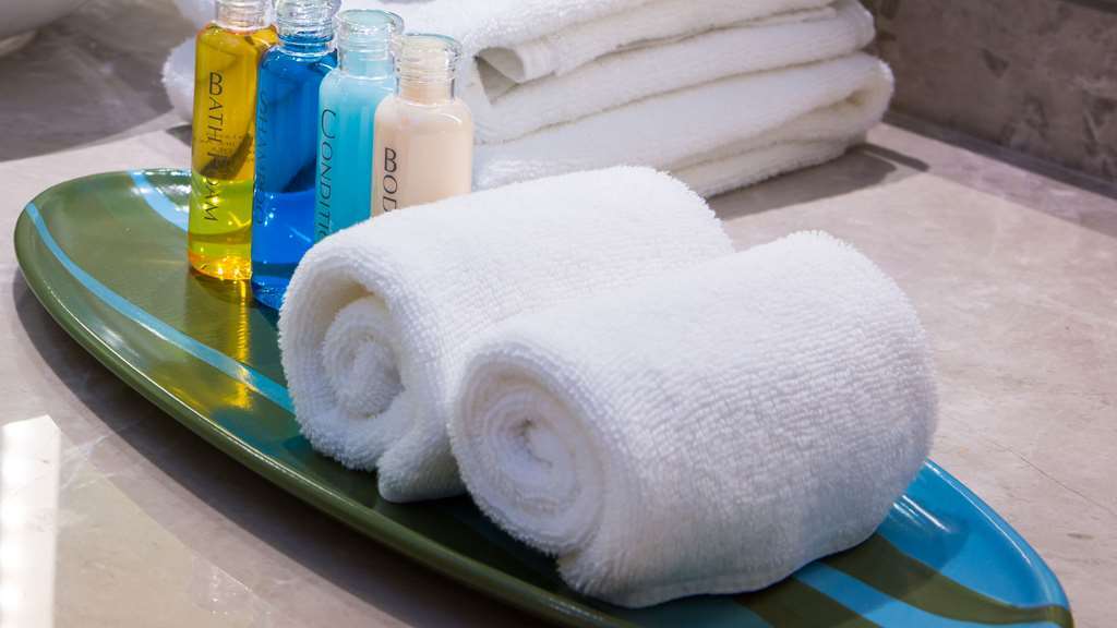 Mountain Inn & Suites フラット・ロック 部屋 写真