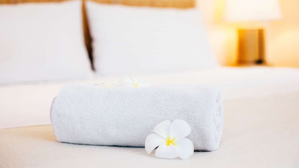 Mountain Inn & Suites フラット・ロック 部屋 写真