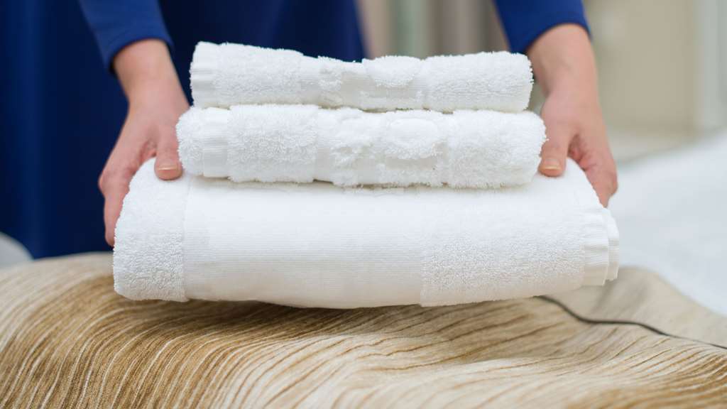 Mountain Inn & Suites フラット・ロック 部屋 写真